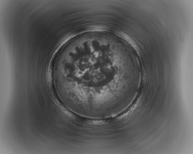 X0000116420835200912150956
