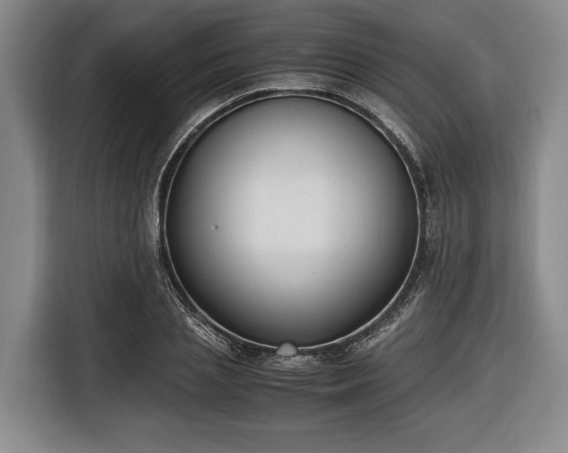X0000116420837200912150956