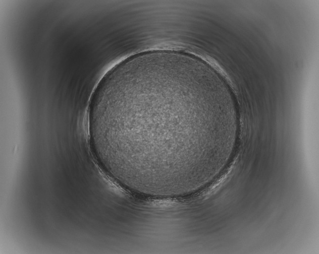 X0000116420838200912150956