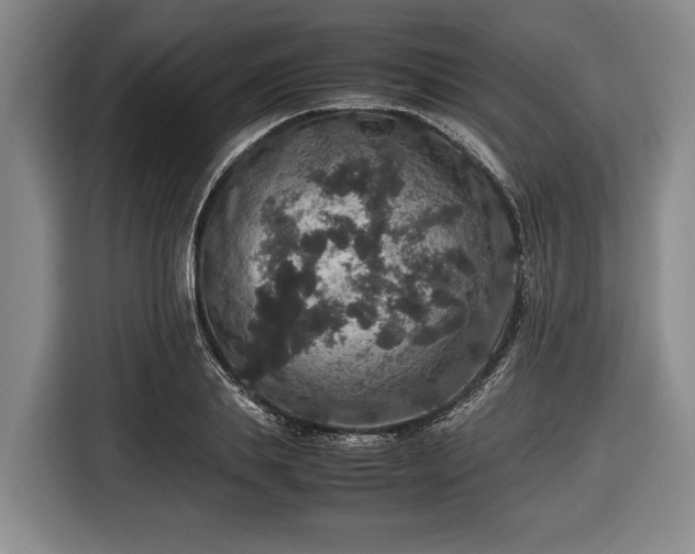X0000116420839200912150956
