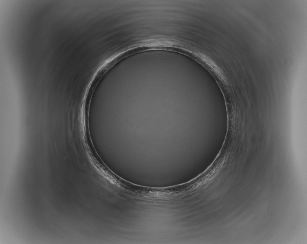 X0000116420840200912150956