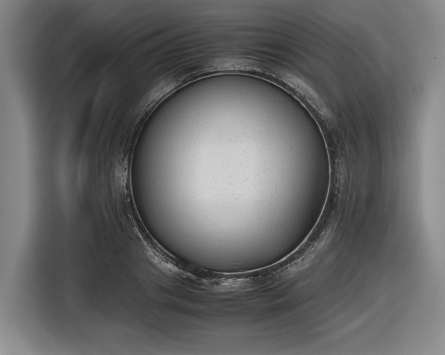 X0000116420841200912150956