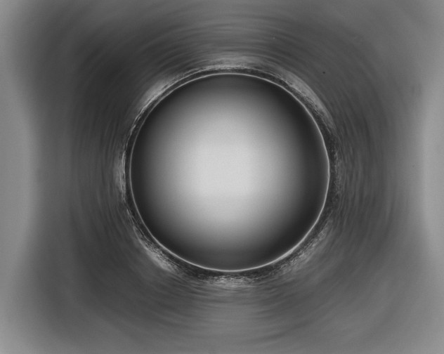 X0000116420842200912150956