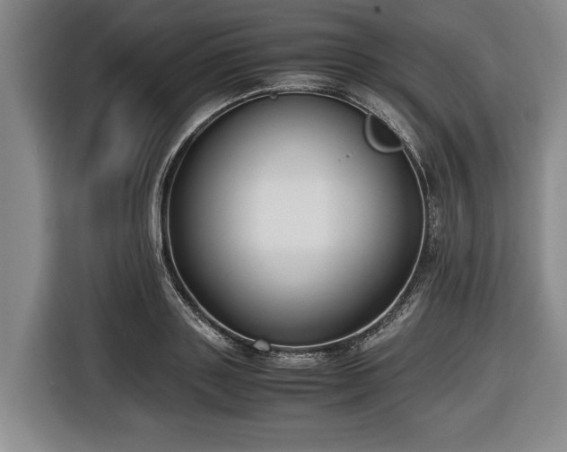 X0000116420843200912150956