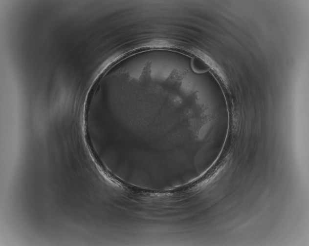 X0000116420845200912150956