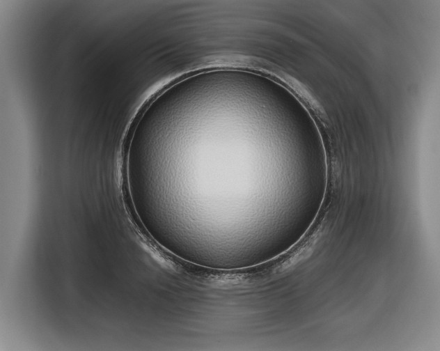 X0000116420846200912150956