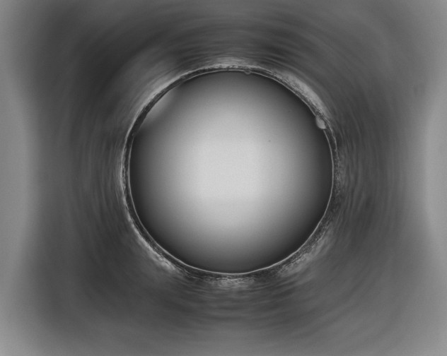 X0000116420847200912150957