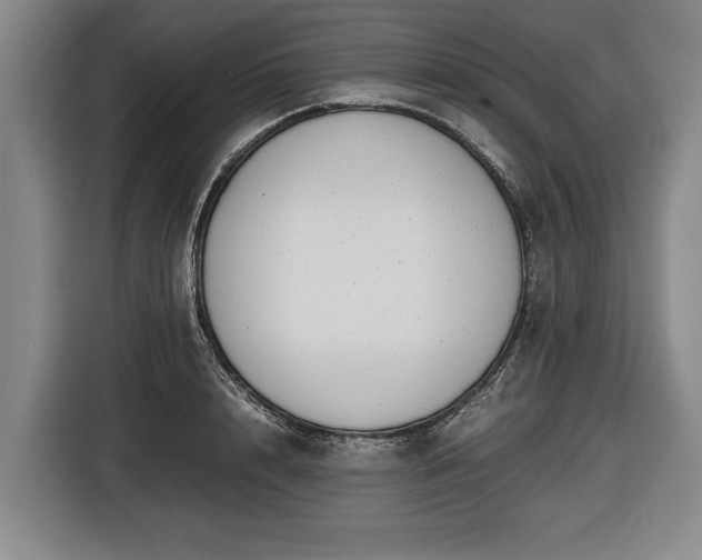 X0000116420848200912150957
