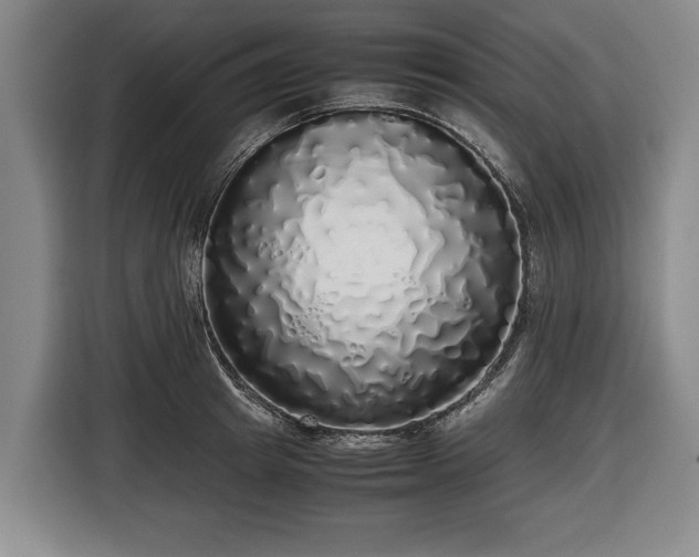 X0000116420849200912150957