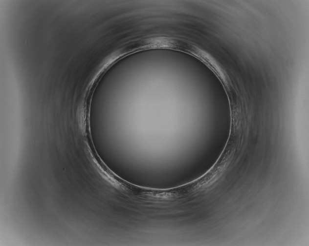 X0000116420851200912150957