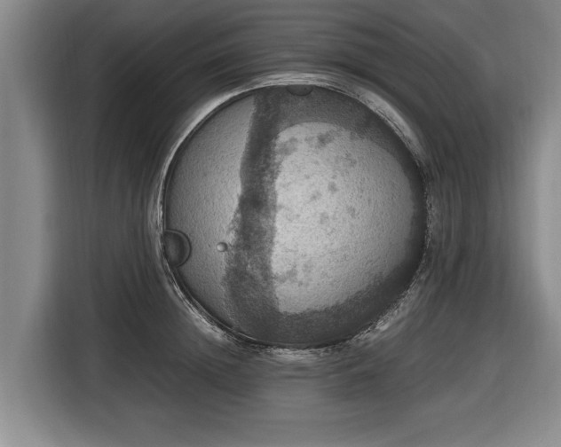 X0000116420852200912150957