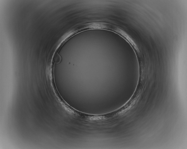 X0000116420853200912150957