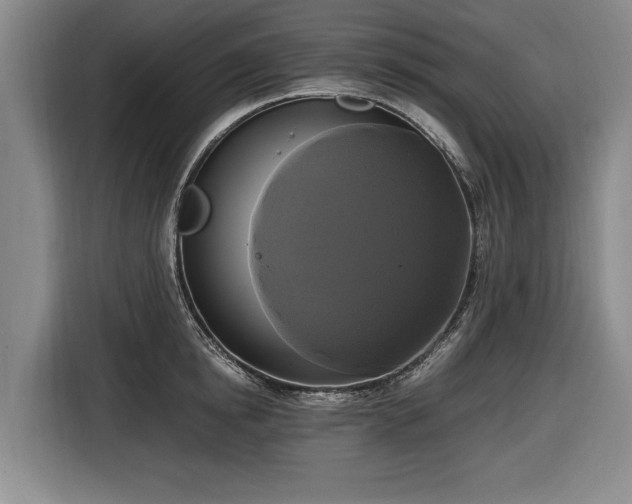 X0000116420854200912150957