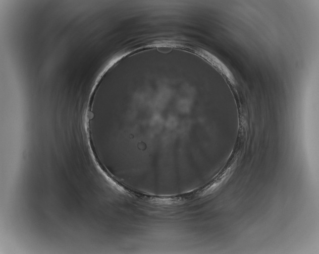 X0000116420855200912150957