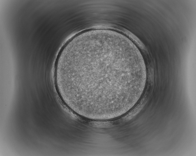 X0000116420856200912150957