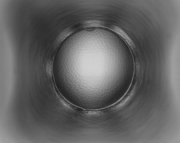 X0000116420857200912150957