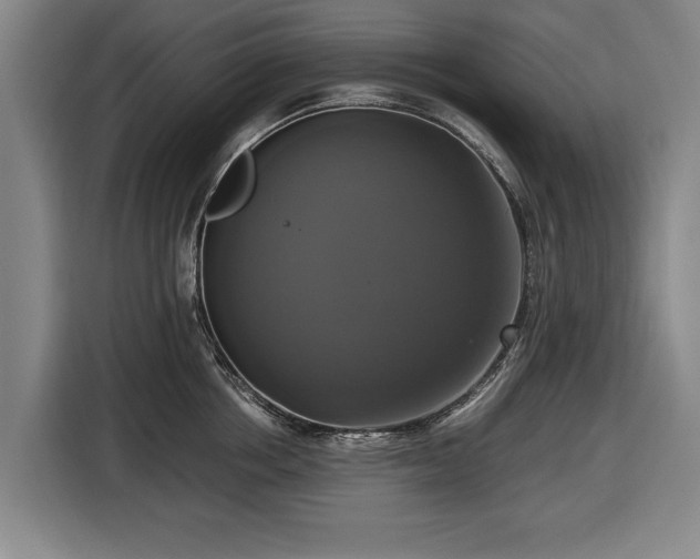 X0000116420858200912150957