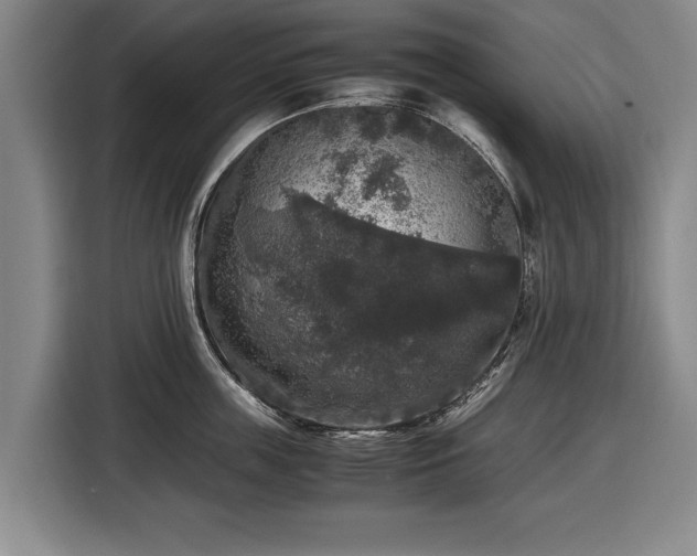 X0000116420859200912150957