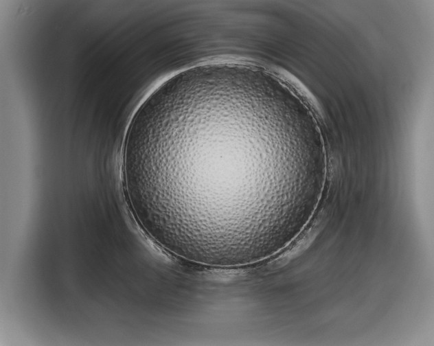 X0000116420860200912150957
