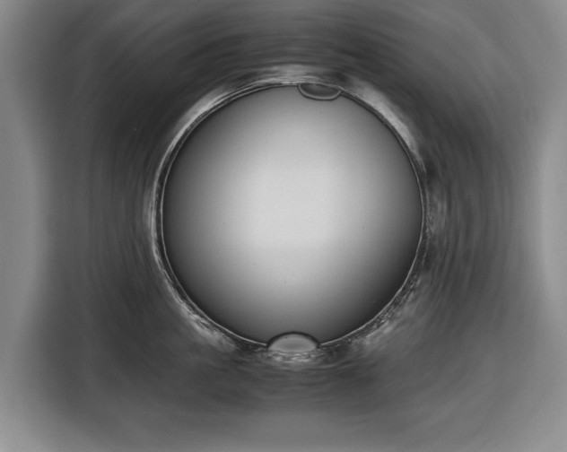 X0000116420861200912150957
