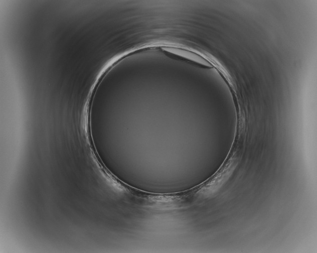 X0000116420862200912150957