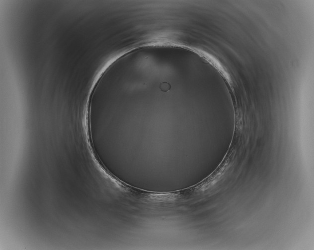 X0000116420863200912150957