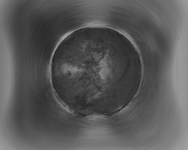 X0000116420864200912150957