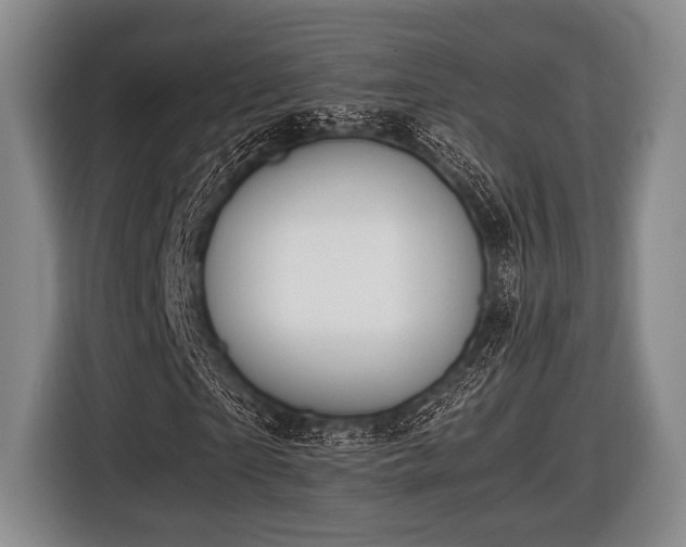 X0000116420865200912150956
