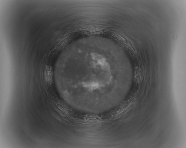 X0000116420866200912150956