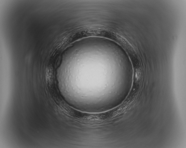 X0000116420867200912150956