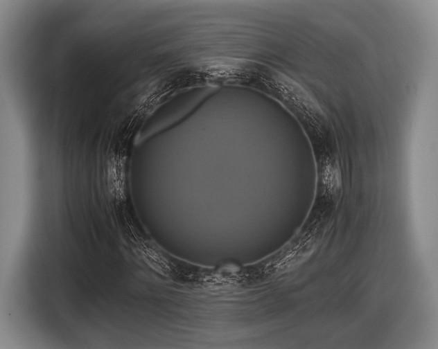 X0000116420868200912150956