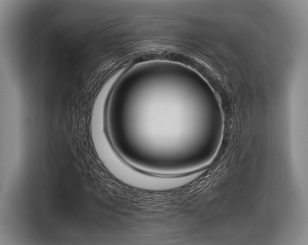 X0000116420869200912150956