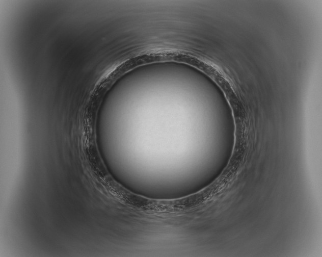X0000116420871200912150956