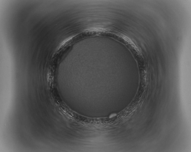 X0000116420872200912150956