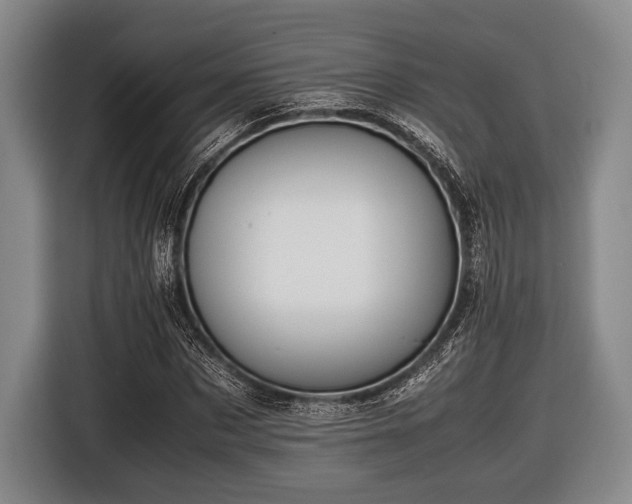 X0000116420873200912150956