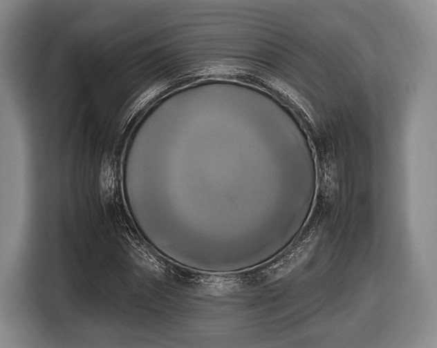 X0000116420874200912150956
