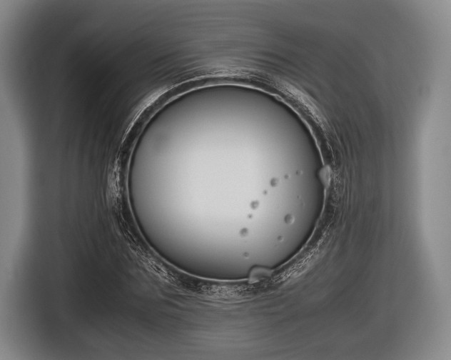 X0000116420875200912150956