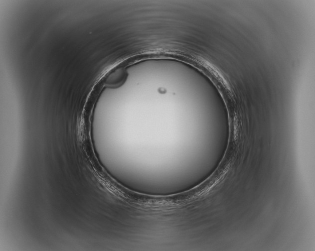 X0000116420876200912150956
