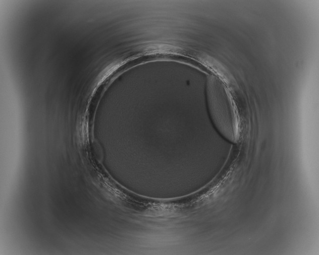 X0000116420877200912150956