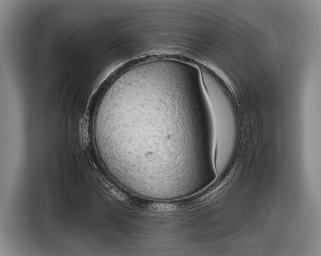 X0000116420878200912150956