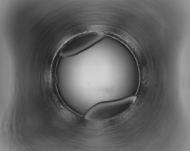 X0000116420880200912150956