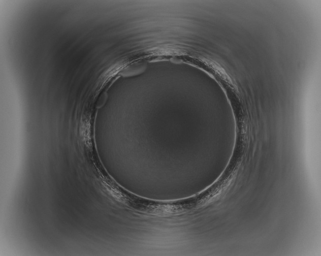 X0000116420881200912150956