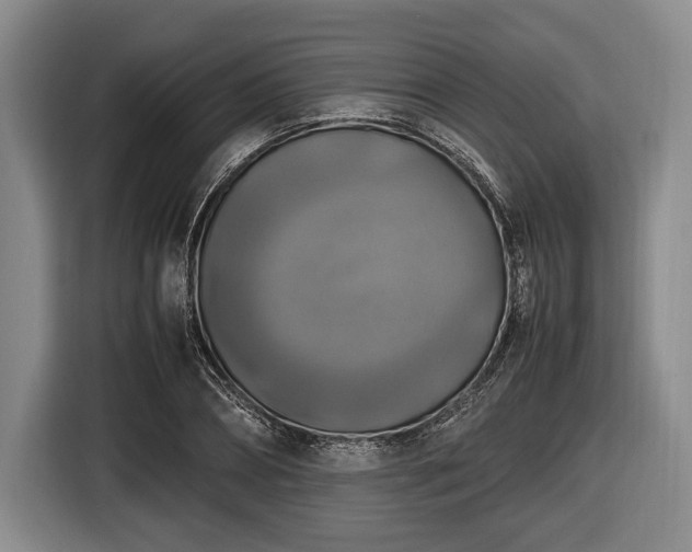 X0000116420882200912150956