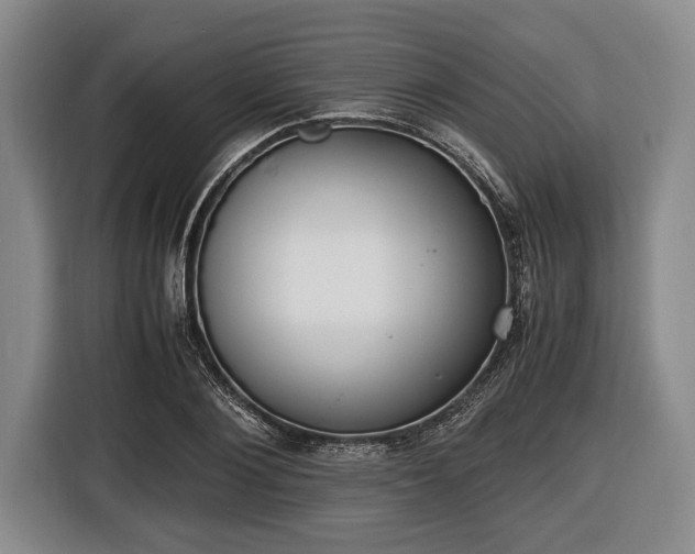 X0000116420884200912150956
