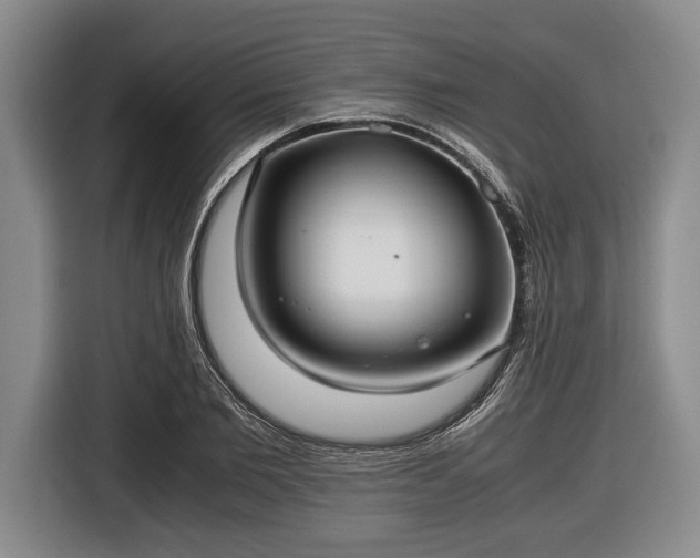 X0000116420885200912150956