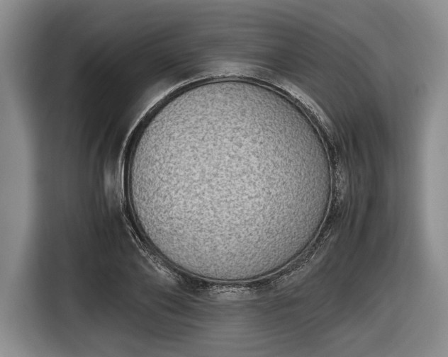 X0000116420886200912150956