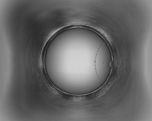 X0000116420887200912150956