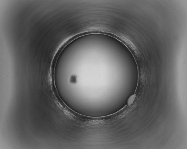 X0000116420888200912150956