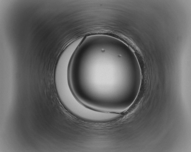 X0000116420889200912150956