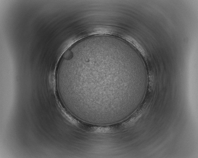 X0000116420890200912150956